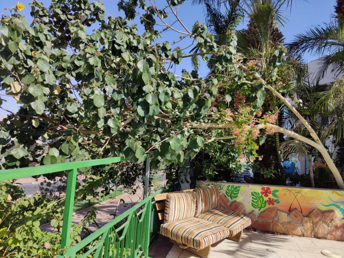 إيلات Dive Time Villa المظهر الخارجي الصورة